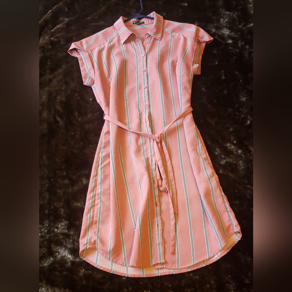 Express Pink Striped Dress